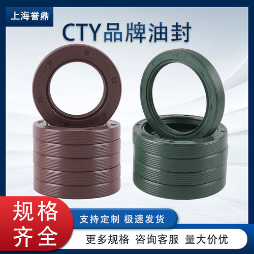 CTY氟胶骨架油封内径82...480