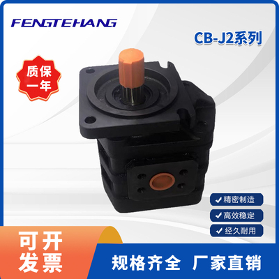 CB-J2FENGTEHANG齿轮泵现货