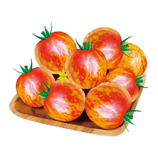 红五彩番茄种子苹果西红柿种籽红斑马柿子圣女果庭院阳台蔬菜种孑