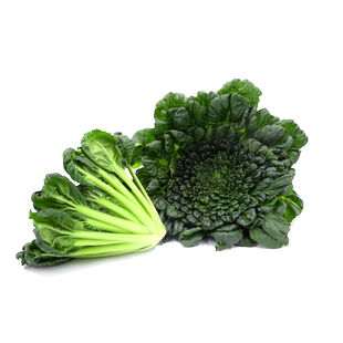 秋冬耐寒乌塌菜种子黑菜小八叶菊花心黑叶乌塌菜菜种菜籽菜子种孑