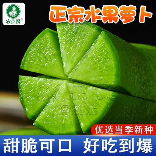 [30年种业大厂]青萝卜种子大全