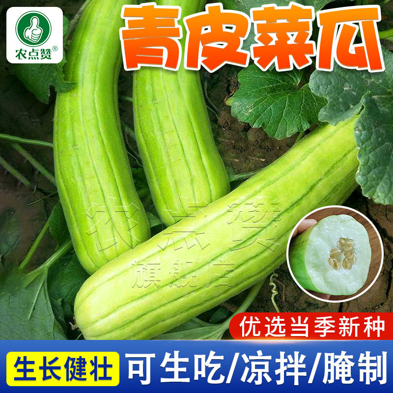 绿皮青皮菜瓜种籽老品种菜瓜籽种子脆瓜酥瓜可生吃腌制酱瓜蔬菜孑