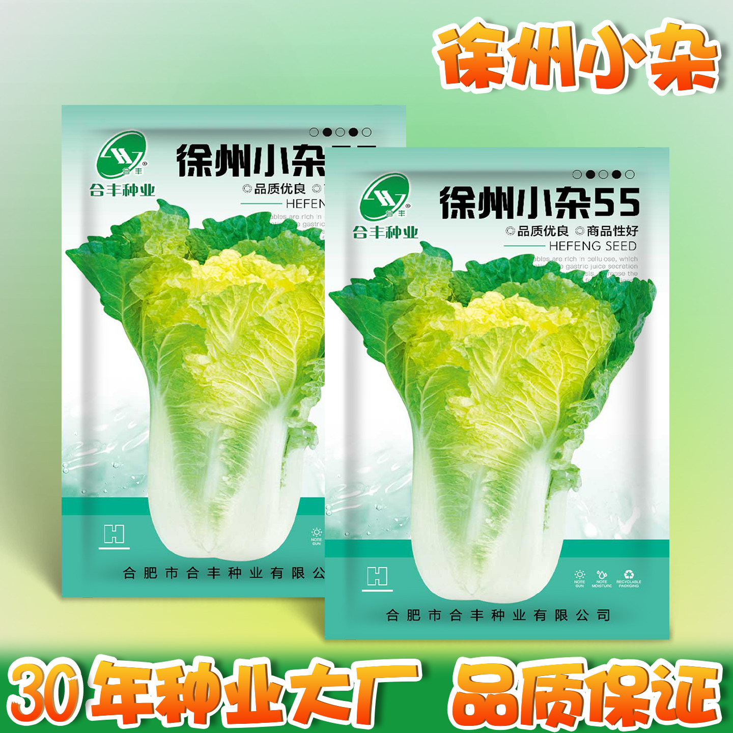 鸡蛋黄白菜种子徐州小杂黄心大白菜种籽包心菜夏秋耐热寒四季蔬菜