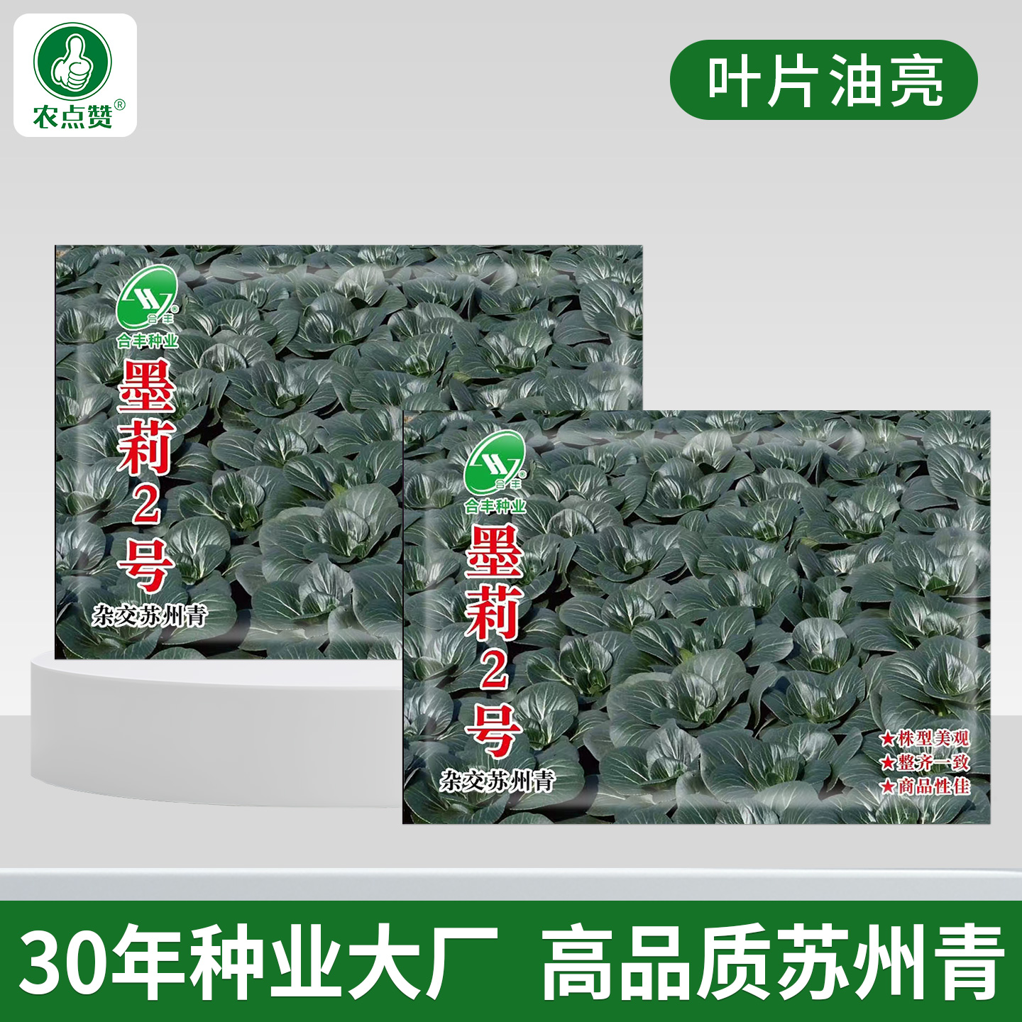 [30年种业大厂]耐寒苏州青种子