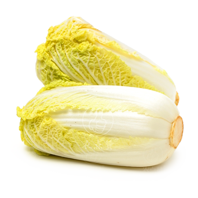 秋季小娃娃包菜高产黄心大全种子