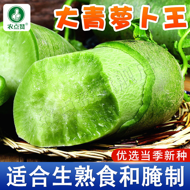 山东潍坊大青萝卜籽种脆口萝卜冰糖萝卜菜种籽沙窝水果青萝卜种子