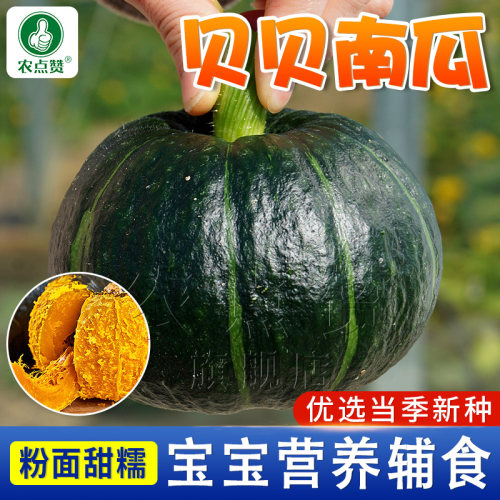 [30年大厂]正宗对版南瓜种子大全