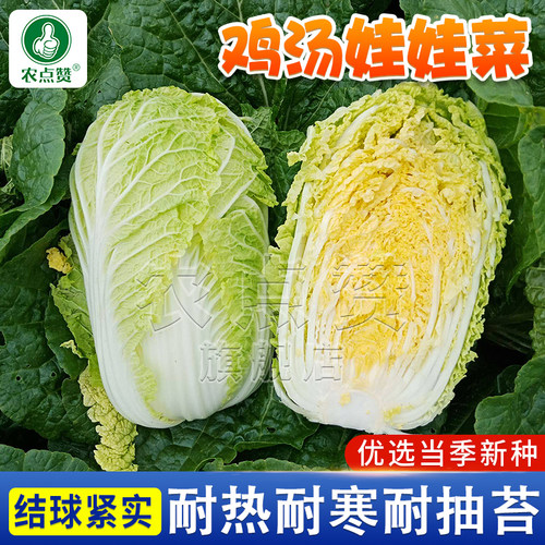 [四季可种]黄心鸡汤娃娃菜种子
