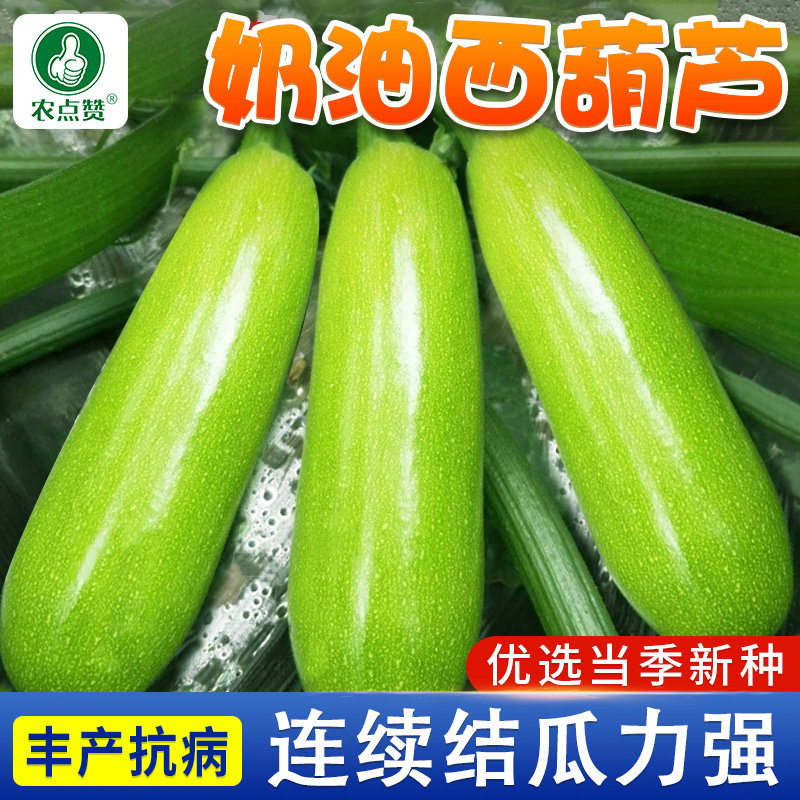 奶油西葫芦种子生吃水果笋瓜种籽耐热小白瓜角瓜熏瓜荨瓜菜瓜籽种