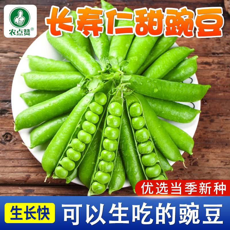 [秋冬耐寒蔬菜种籽]甜青豌豆种子