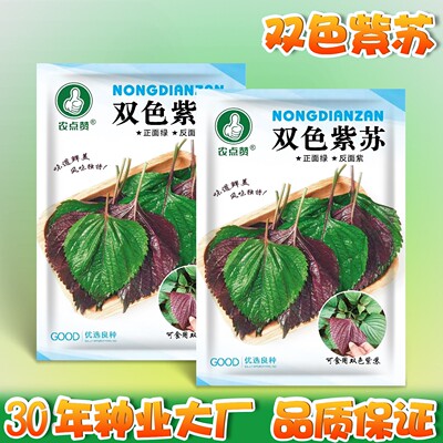 [30年种子大厂]双色紫苏种子
