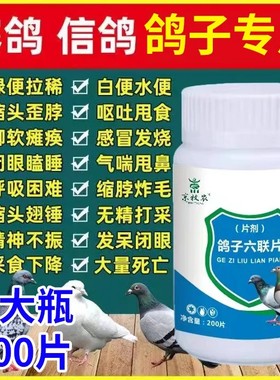 鸽六联鸽子专用新城疫水便绿便没精神缩头炸毛信鸽赛鸽用品大全