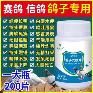 鸽六联鸽子专用新城疫水便绿便没精神缩头炸毛信鸽赛鸽用品大全