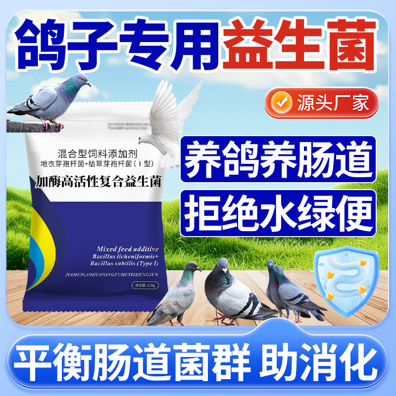 鸽子专用益生菌赛鸽肉鸽种鸽用饮水拌料调理肠道平衡菌群促进生长