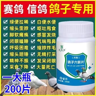 鸽六联鸽子专用新城疫水便绿便没精神缩头炸毛信鸽赛鸽用品大全