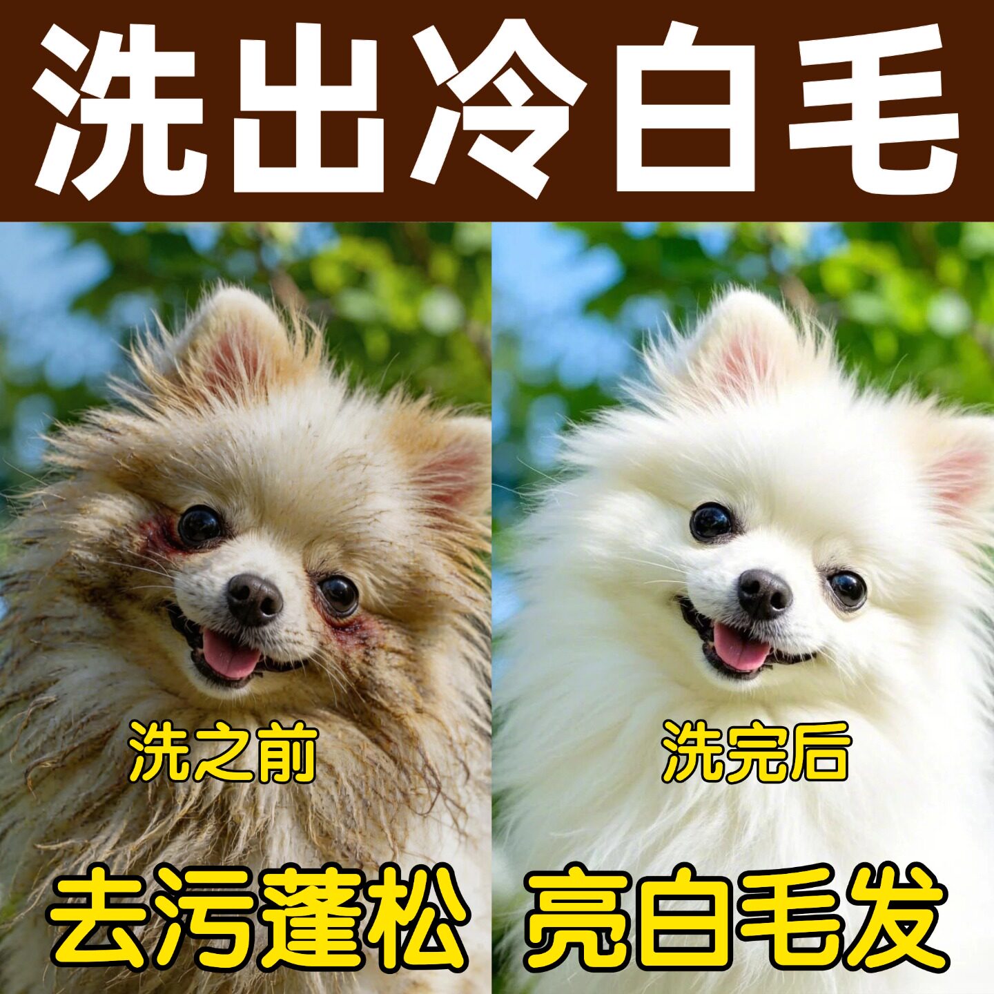 狗狗白毛专用沐浴露持久留香抑菌除臭洗澡比熊猫咪宠物去污美白