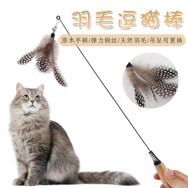CFA赛级逗猫棒木柄可替换头 羽毛铃铛耐咬猫玩具猫咪自嗨玩具