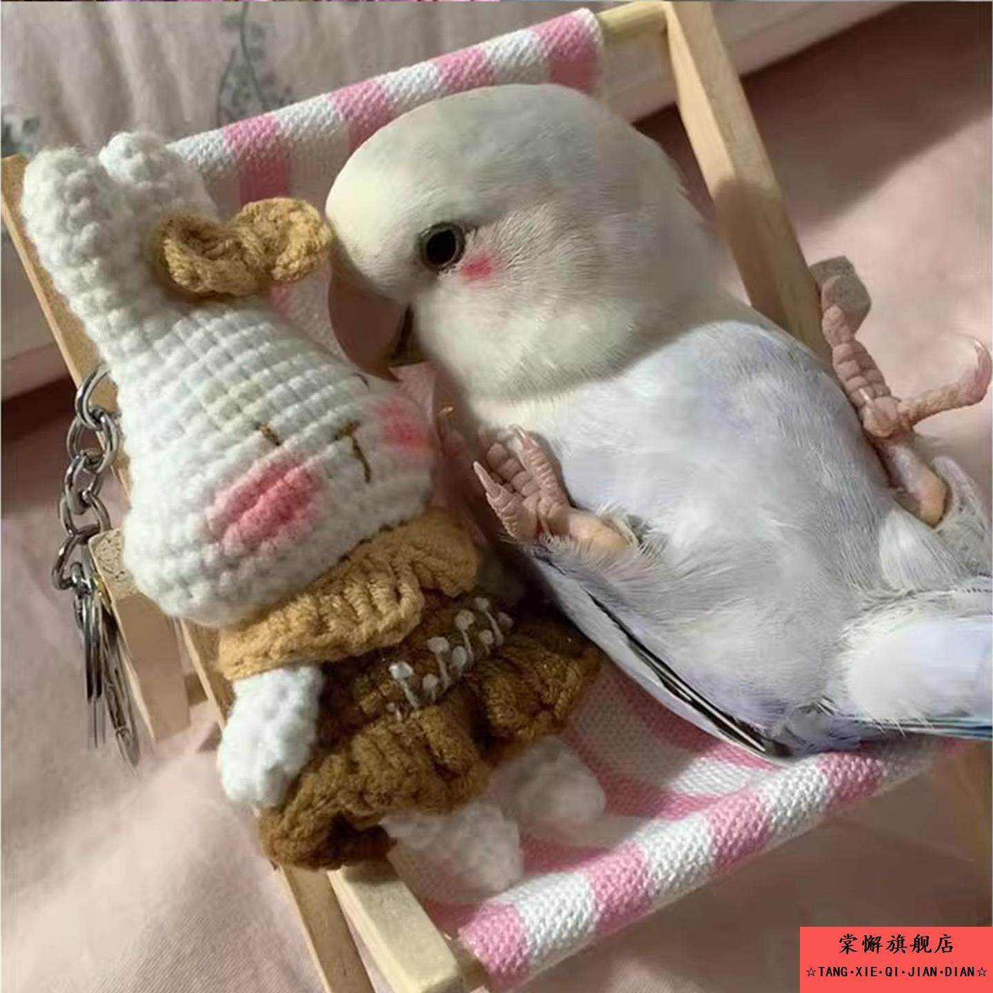 鹦鹉沙滩躺椅小鸟玩具虎皮牡丹玄风自嗨解闷解压拍照摆拍逗鸟神器,宠物/宠物食品及用品,鸟玩具,淘宝优惠券,粉丝福利购,淘宝优惠卷