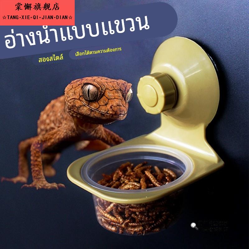 爬宠食盆水盆玻璃缸防翻防逃逸固定变色龙蜥蜴宠睫角守宫吸盘食盆