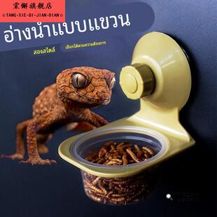 爬宠食盆水盆玻璃缸防翻防逃逸固定变色龙蜥蜴宠睫角守宫吸盘食盆