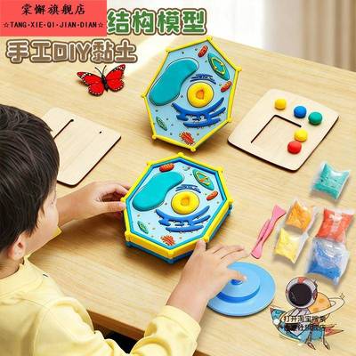细胞模型制作材料七年级上生物动物植物细胞初中手工diy黏土真核3d立体结构高中自制教学成品小学生作业实验