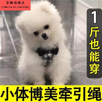 小体博美专用蝴蝶结牵引绳幼犬胸背心式遛狗狗绳子可爱冬季小型犬