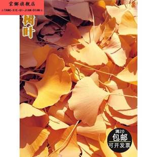 50片真树叶自然落叶银杏叶干花枯叶子金色标本书签DIY手工粘贴画