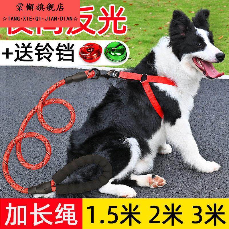 狗狗牵引绳狗绳宠物大中小型犬加长版夜间反光遛泰迪金毛狗炼 炼