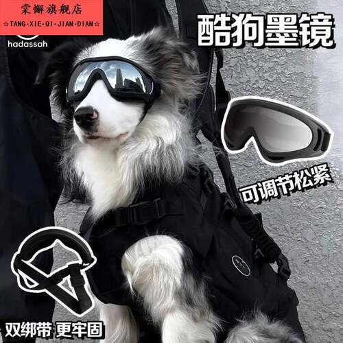 新款狗狗护目镜小中大型犬骑行太阳眼镜防风紫外线 线宠物太阳眼