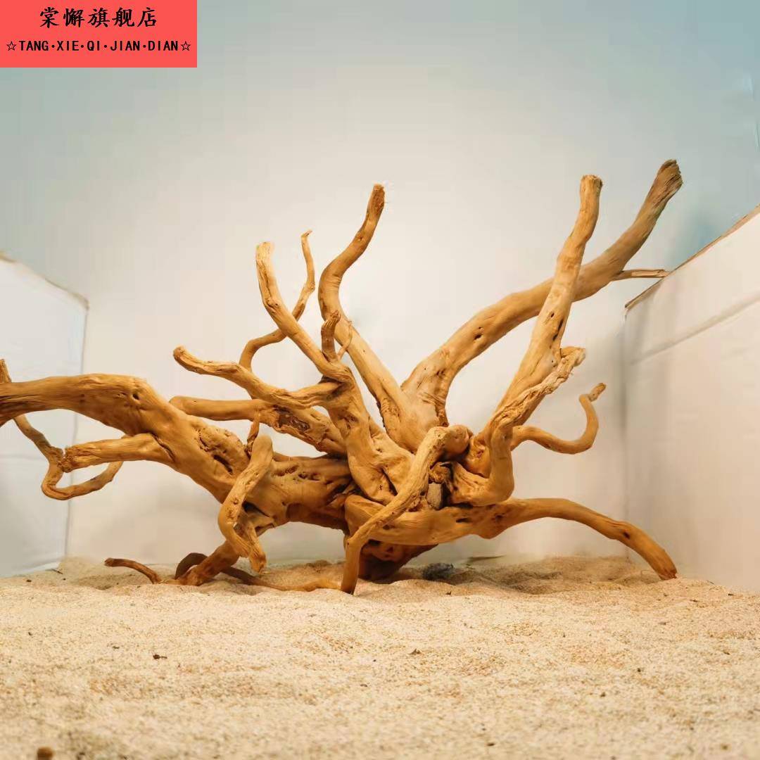 自然风化沉木枯木树根木雕杜鹃木插花微景观鱼缸造景木头摆件