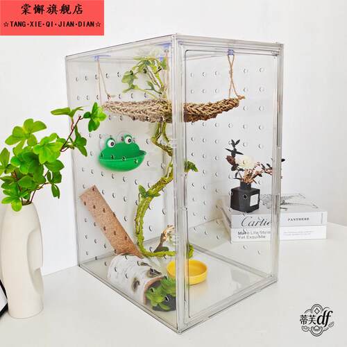 守宫饲养箱爬宠造景压克力透明箱爬虫角蛙树蛙蜥蜴饲养专用养殖笼