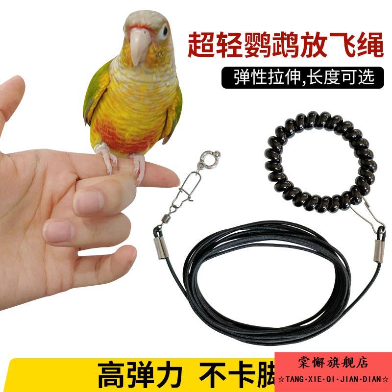 鹦鹉放飞绳不伤脚超轻鸟用牵引绳外出遛鸟弹力绳牵引带虎皮玄风牡