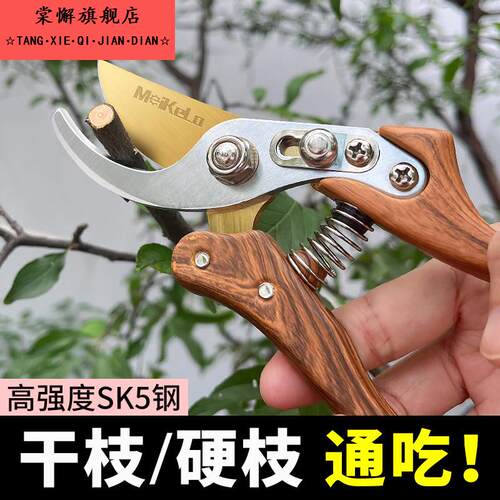 修枝剪园艺剪刀剪树枝专用园林修剪果树修枝花艺修花剪剪枝剪粗枝
