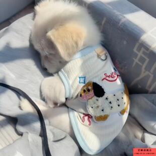 小体比熊狗狗衣服秋天季马甲背心可牵引外出防脏韩系幼犬博美泰迪