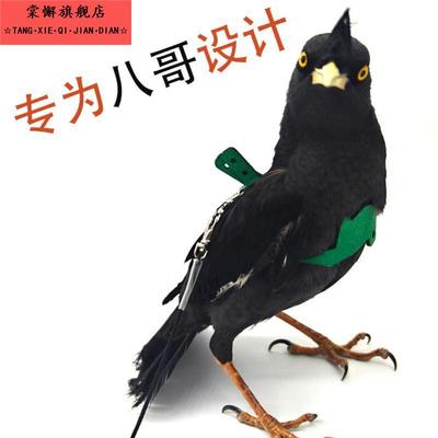 八哥鸟放飞牵引绳子抱婴袋八哥用品脚环鹦鹉牵引绳遛鸟神器金刚鹦