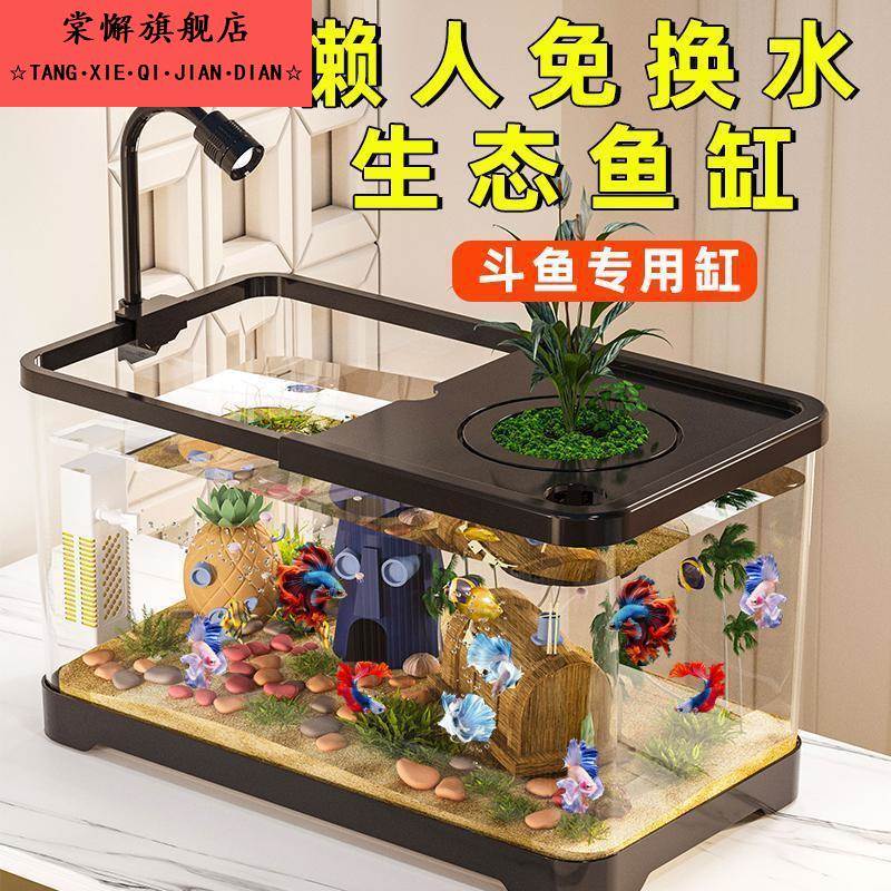 小型鱼缸家用桌面客厅小型电视柜旁超白生态过滤深水乌龟缸养龟箱
