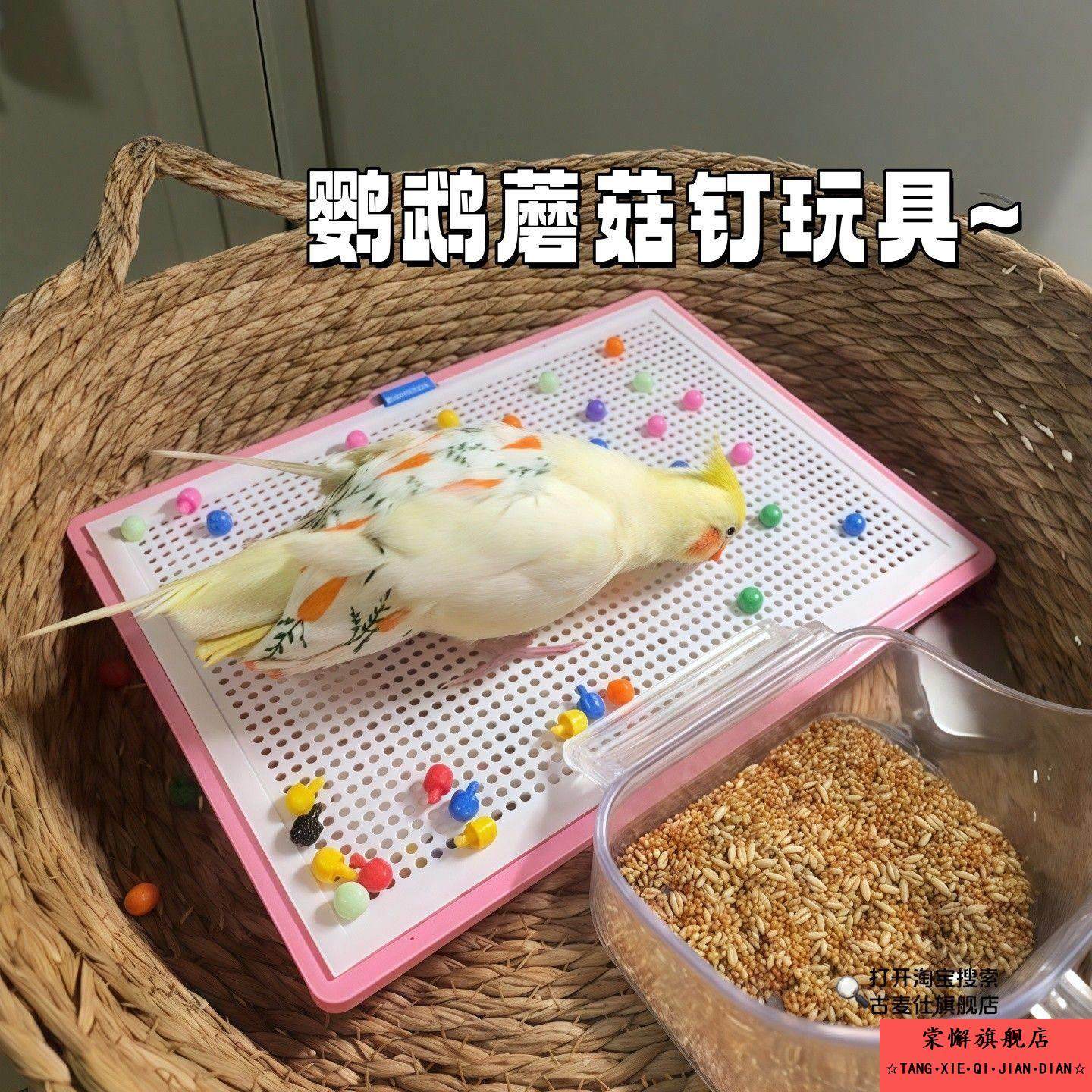 鹦鹉蘑菇钉玩具自嗨解闷防抑郁鸟类益智玩具趣味小鸡啃咬拔钉子,宠物/宠物食品及用品,鸟玩具,淘宝优惠券,粉丝福利购,淘宝优惠卷