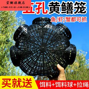 黄鳝笼子捕鱼笼鳝鱼泥鳅笼虾笼抓鱼笼装鱼篓捉鱼神器地网笼花篮网