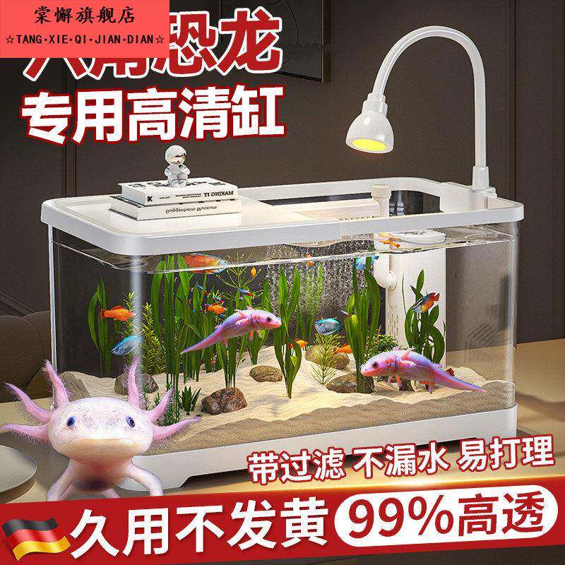 六角恐龙专用鱼缸过滤制氧一体机小型客厅桌面生态负压缸造景全套