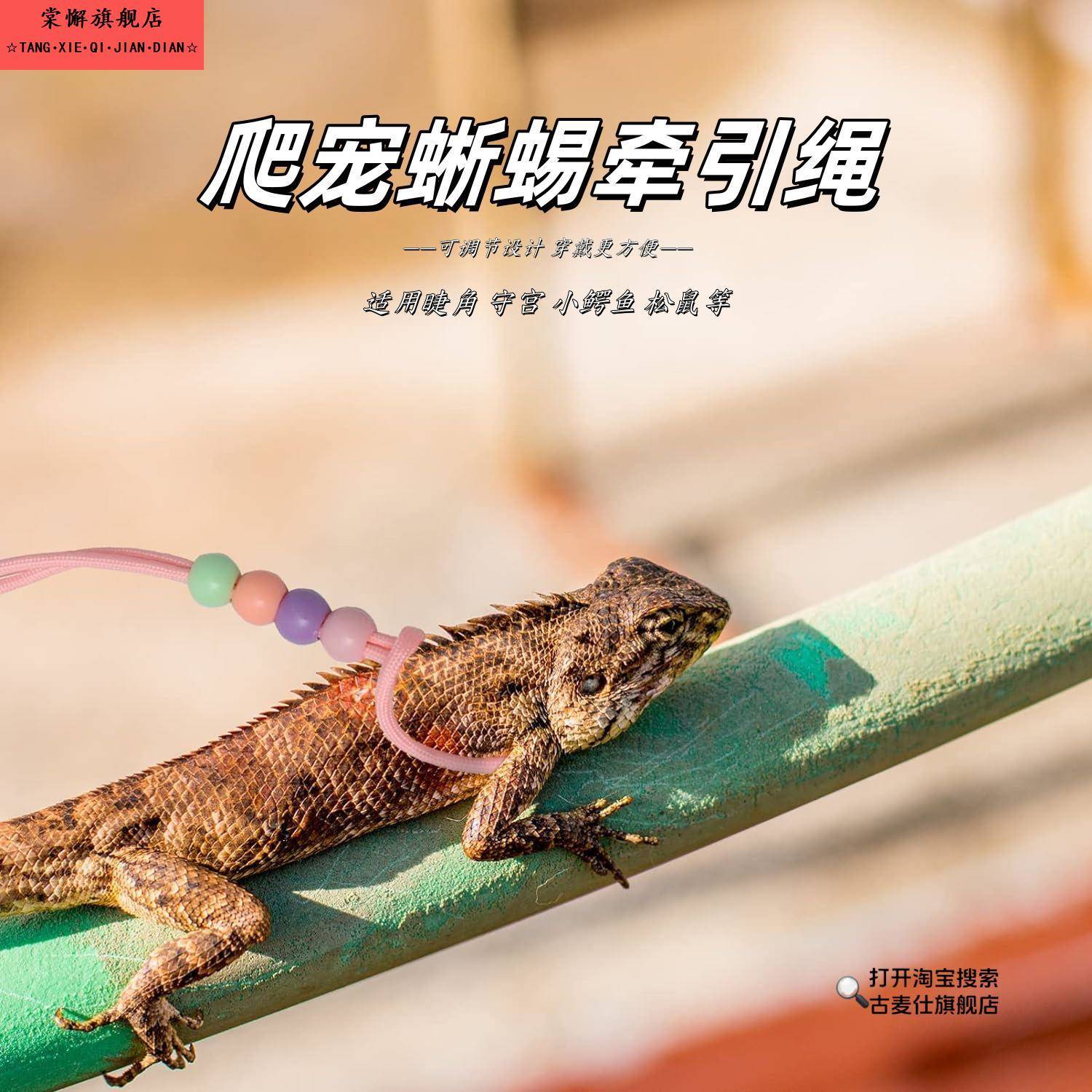 爬宠鬃狮蜥蜴牵引绳安全溜宠防挣脱宠物牵引绳套头套爬宠吊床