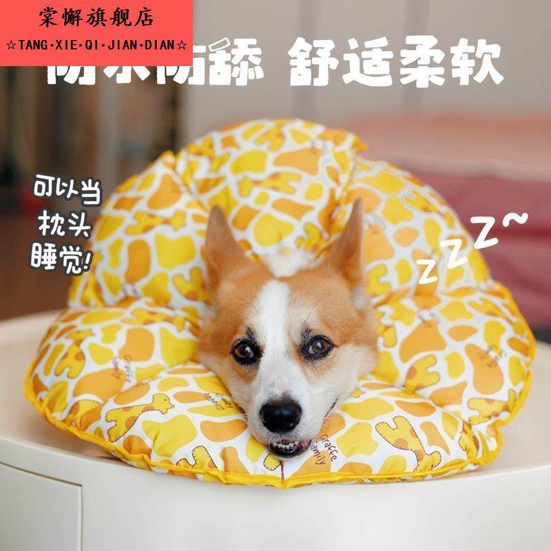 宠物狗伊丽莎白圈猫防抓防舔咬绝育术后用品柯基太阳花脖圈软头套,宠物/宠物食品及用品,宠物伊丽莎白圈,淘宝优惠券,粉丝福利购,淘宝优惠卷