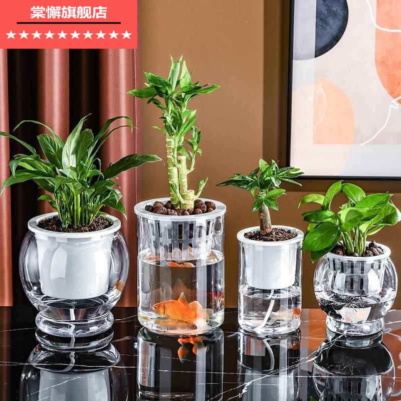 水培植物瓶子透明直筒圆柱形花瓶简约绿萝花盆白掌水养缸容器