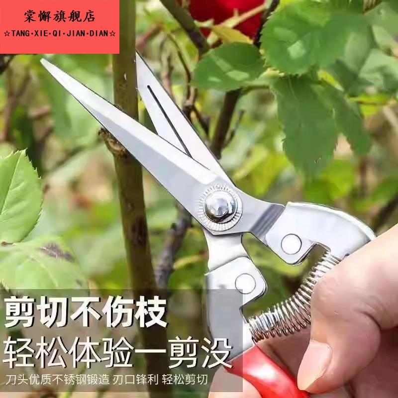 不锈钢稀果剪水果花枝花卉剪刀葡萄剪花椒剪摘花摘果剪刀树枝修剪