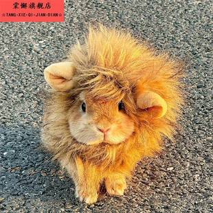 兔子小狮子头套网红可爱帽子侏儒兔毛绒猫咪狗狗搞怪变装拍照饰品