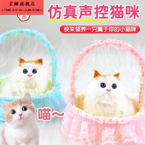 跨年礼物女童1到3岁宝宝2—4周岁半儿童玩具女宝益智早教小孩两