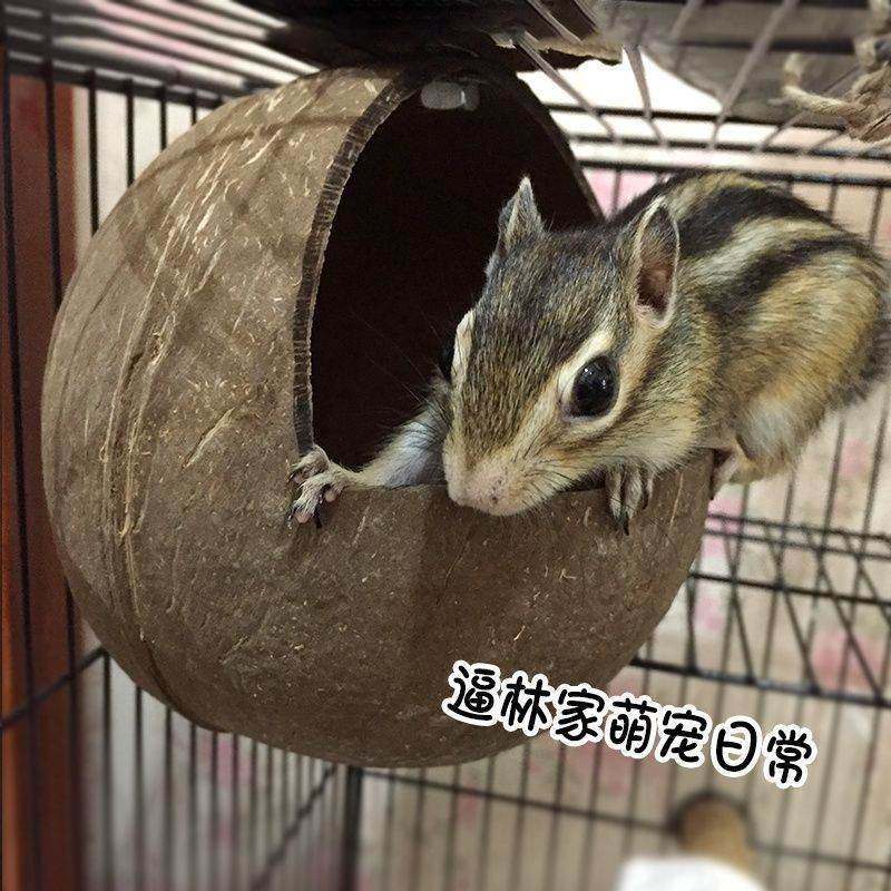 椰子壳窝松鼠宠物用品木窝保暖小窝食盆松鼠吊床耐咬,家居饰品,其他工艺饰品,淘宝优惠券,粉丝福利购,淘宝优惠卷