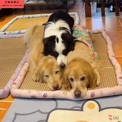 大型犬专用狗狗凉席冰垫夏季睡觉降温垫子狗窝地垫超大号金毛边牧