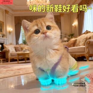 猫咪发光鞋宠物狗狗鞋子哨子夜光儿童玩具夜间拍照小配件撸猫装扮