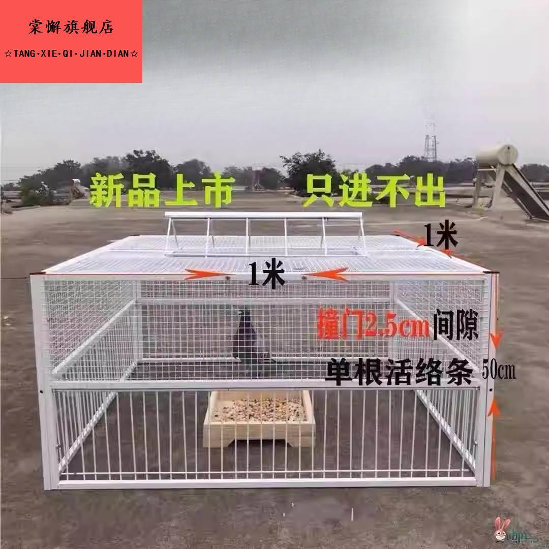 捕鸽神器抓鸽子笼全自动户外野布鸽天落笼扑捉逮撞门笼只进不出收