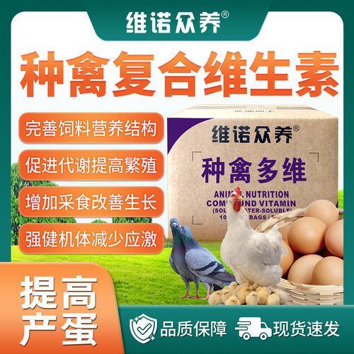 种禽多维种鸡种鸭种鹅饲料添加剂禽用维生素预混料提高繁殖配种率